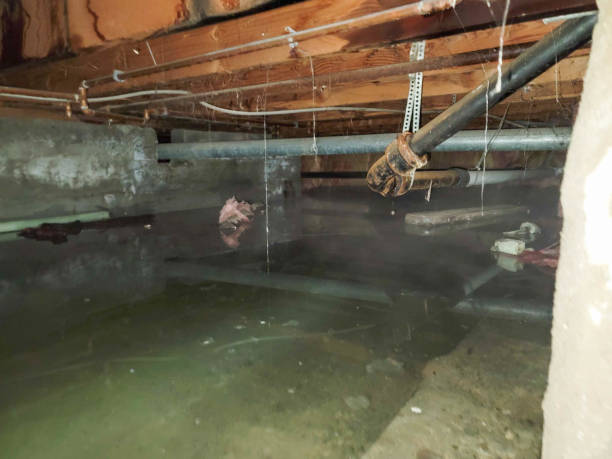 Best 24-hour water damage restoration  in Bridgman, MI