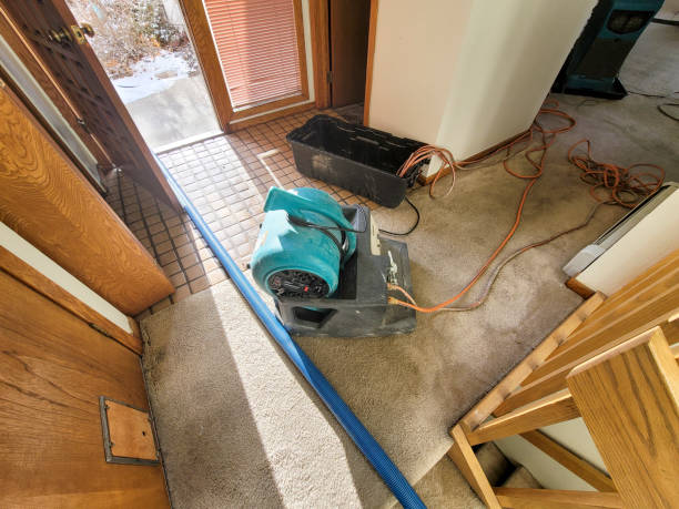 Best Emergency water damage restoration  in Bridgman, MI